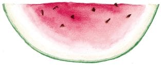 watermellon