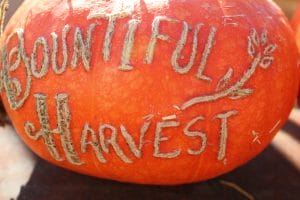 pumpkins at Remnants of the Past