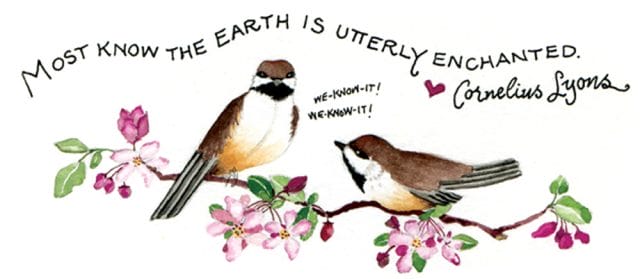 earthbirds