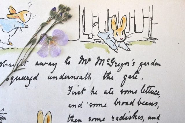 How Beatrix Potter's sad life led to her brilliant career