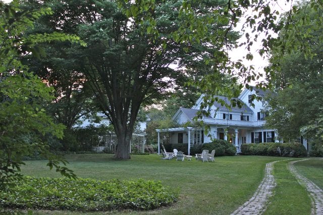 Lush life, island summer