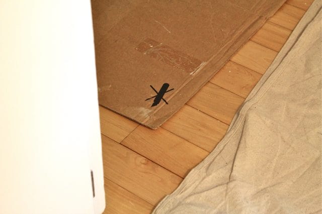 Huge bug on the floor!