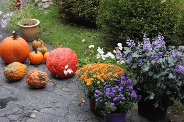 Gathering the goodies