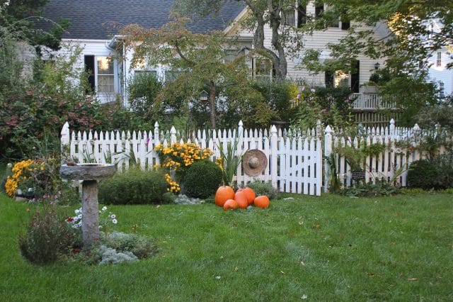 decorating the garden