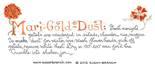 marigold-dust