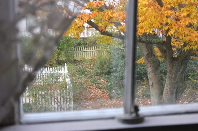 view from the bedroom window