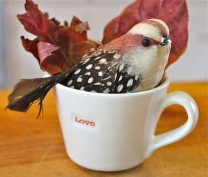 Bird in a love cup