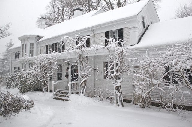 another day in paradise