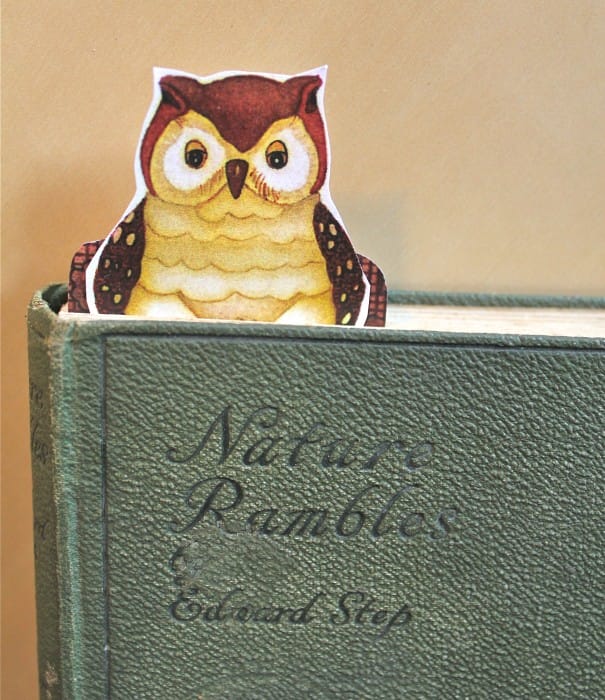 owl bookmark