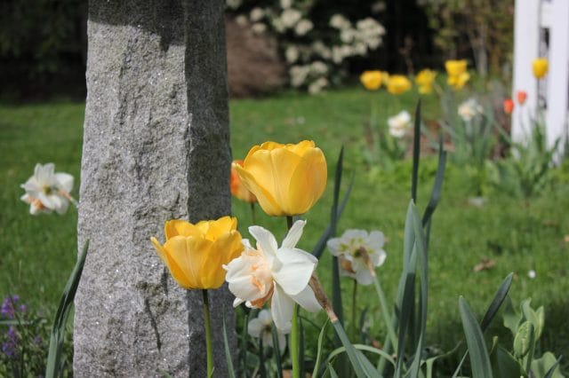 May Day!