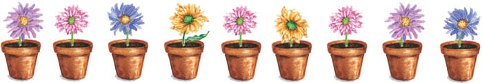 flower pots