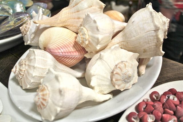 Handmade Seashells Sea Shell Dove Bird Figurine FLAW 