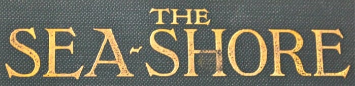 sea shore book