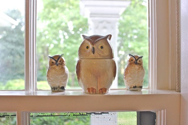 owl family