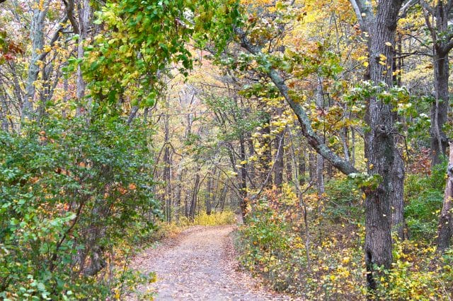 our walk in autumn