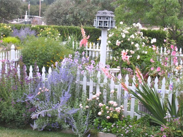 the garden in bloom