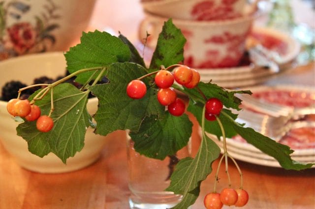 berries from the barn