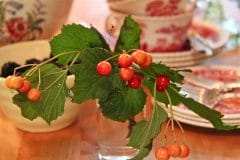 little vases