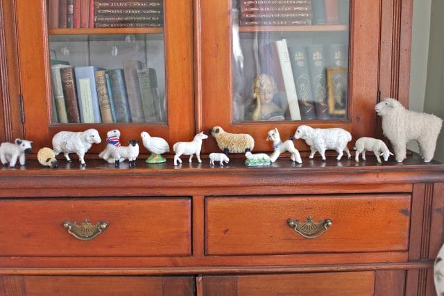 my lambs