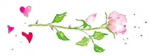 roses