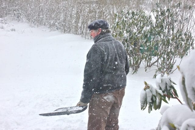 joe shoveling