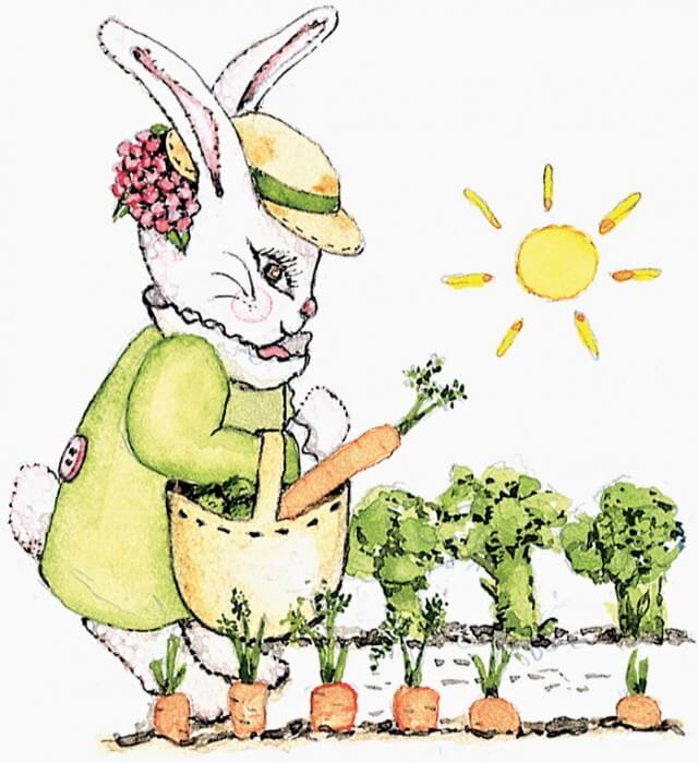 bunnyinthecarrotpatch