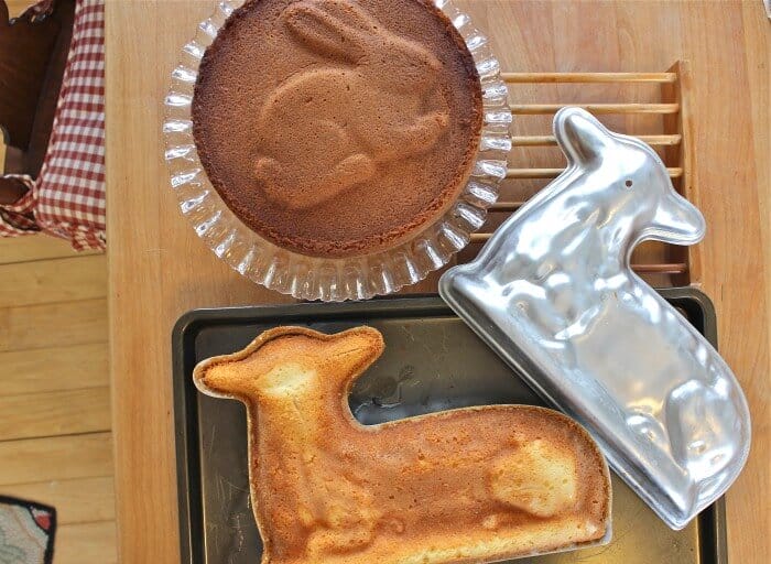 lambs and bunnies oh my