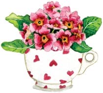 teacup flowers