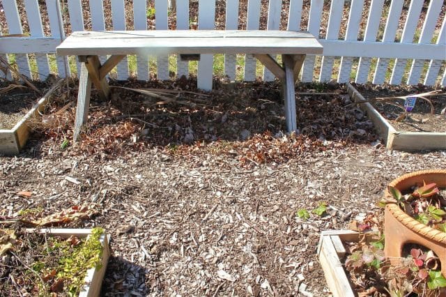 bench in the garden