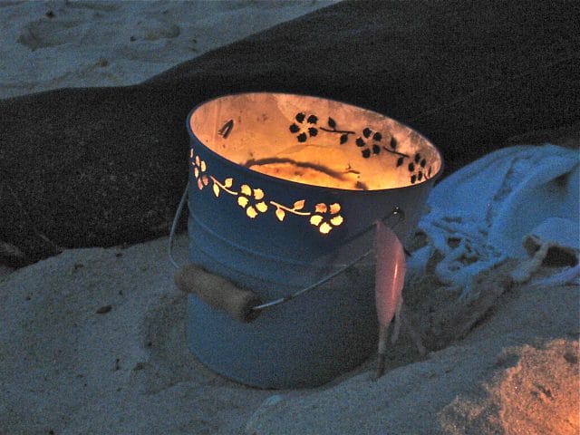 bug buckets