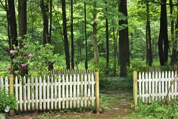 Quiet Garden