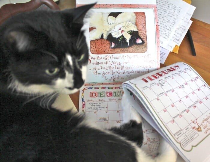 jack and the mini calendar