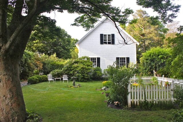 the barn and garden after the storm