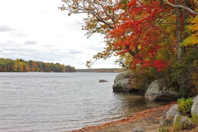 Wallum Lake