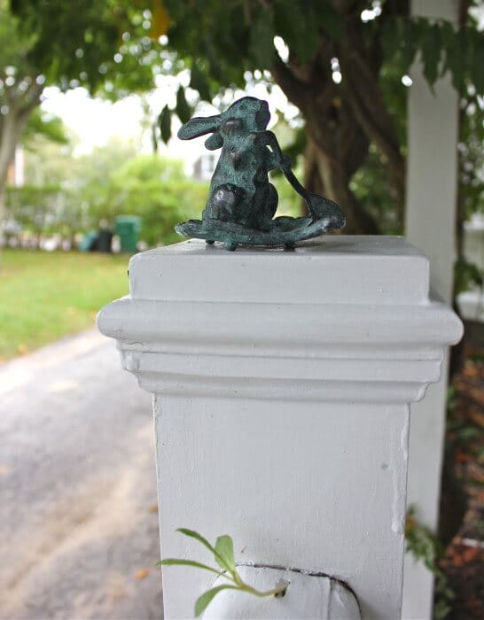 Keeping her face in the light