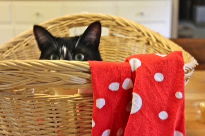 Life is for the living