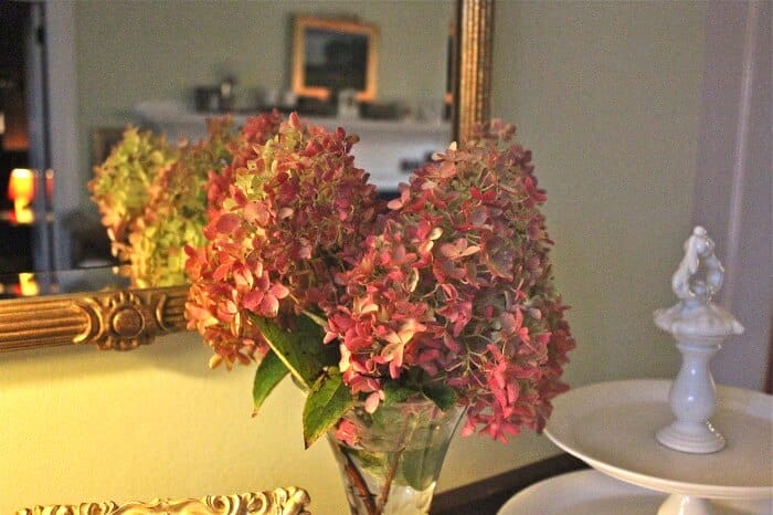 fall hydrangeas