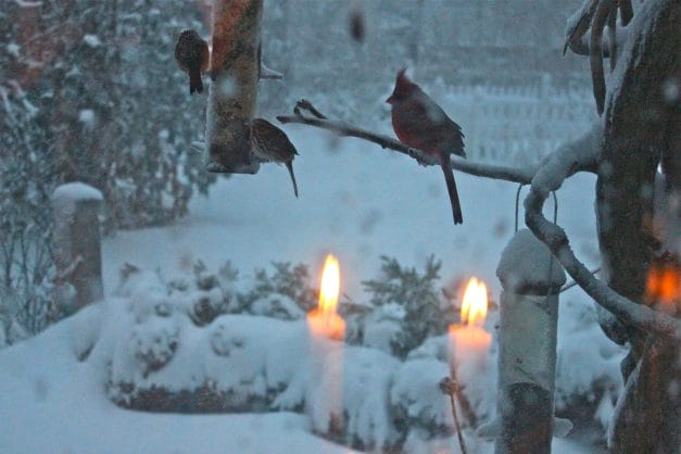 Candles in the kitchen