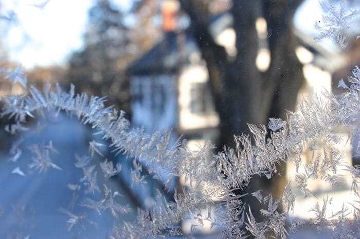 ice feathers on the windows