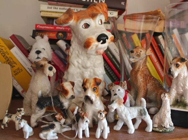 Ray's terrier collection