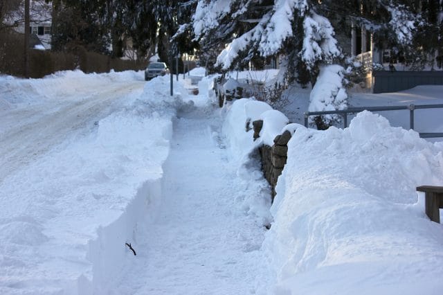 a shoveled walk