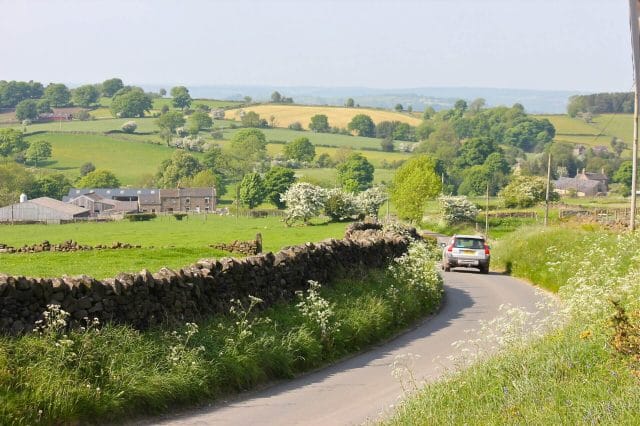 road lined in cow parsley