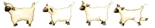 lambs-art