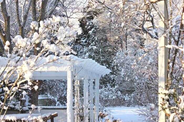 all snow all the time