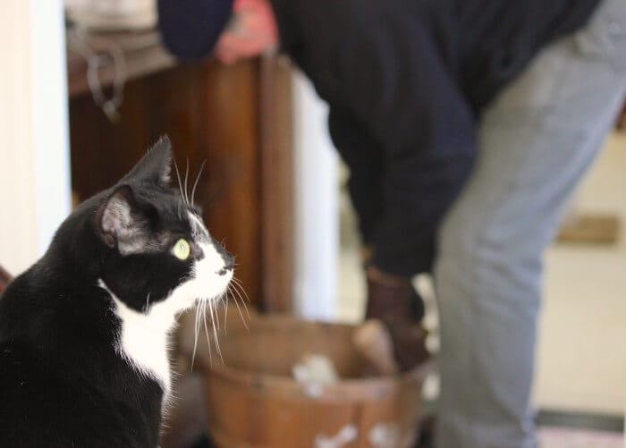 Helping Joe bring in wood