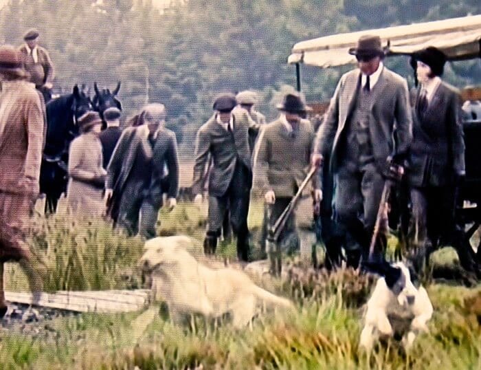 Love Julian Fellowes