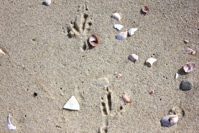 someone was here first