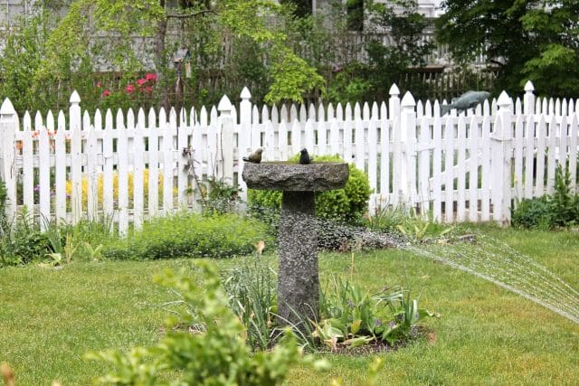 watering the garden