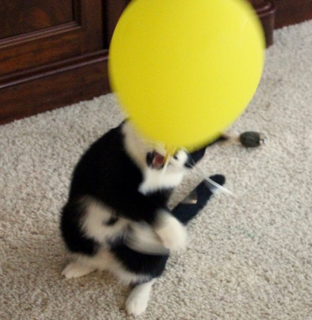 Jack and the balloon