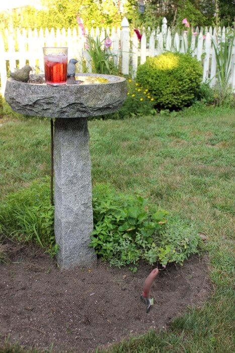 planting under the bird feeder